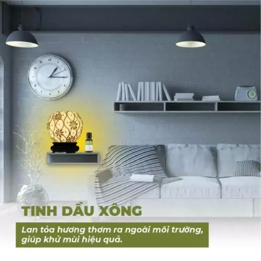 Tinh dầu hạt Mùi già - Hương của Quê nhà - Hình ảnh 6