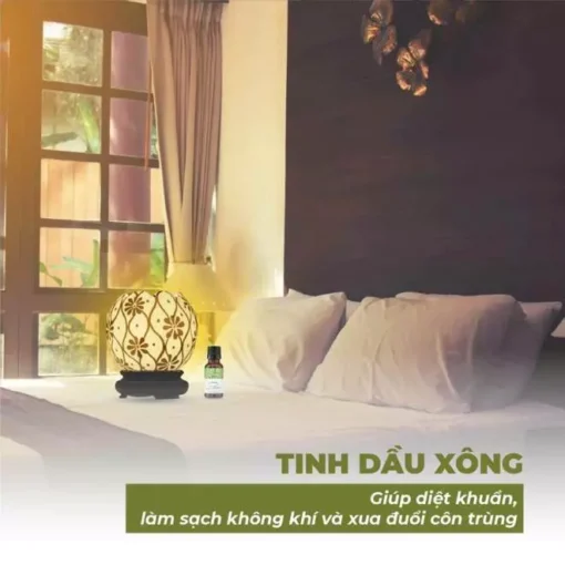 Tinh dầu hạt Mùi già - Hương của Quê nhà - Hình ảnh 5