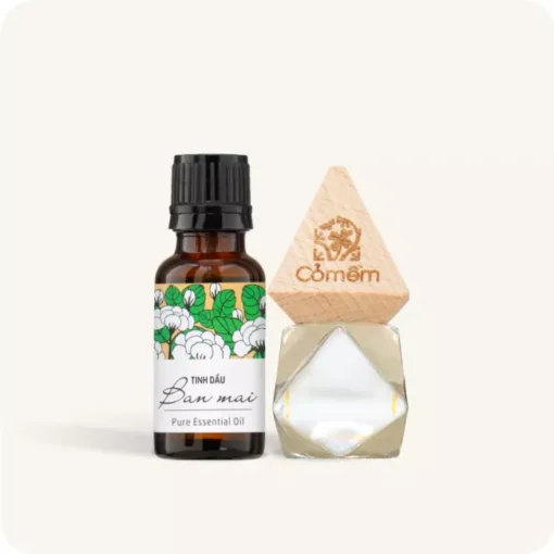 Combo Tinh dầu treo + Tinh dầu refill nguyên chất