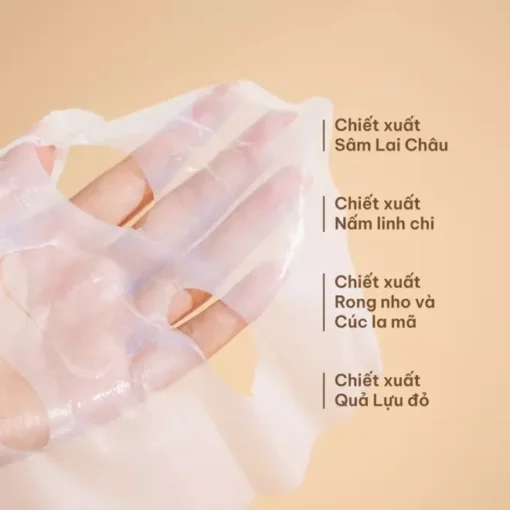 Combo 4 Mặt Nạ Sâm 1700 Ngừa Lão Hoá - Ảnh 3