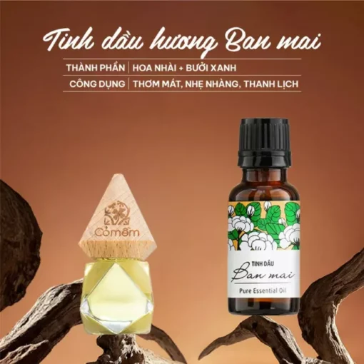 Tinh dầu nguyên chất (Lọ to 20ml) - Hình ảnh 11