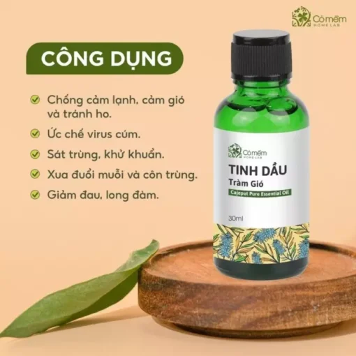 Tinh dầu Tràm Gió - Kháng khuẩn, ngừa cảm lạnh - Ảnh 3